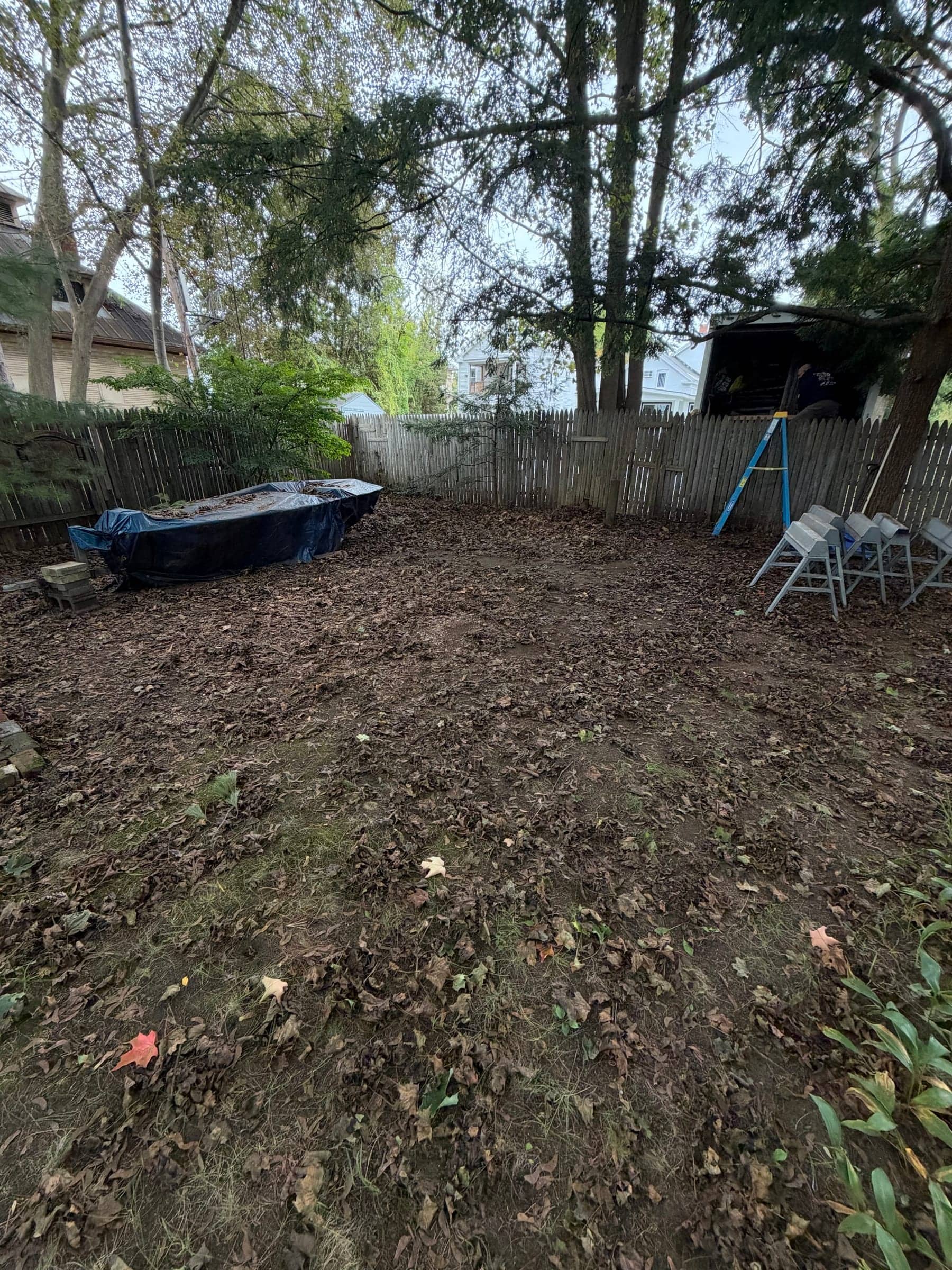 Same backyard after the old fence and lumber were hauled away: cleared dirt and leaves inside the fence