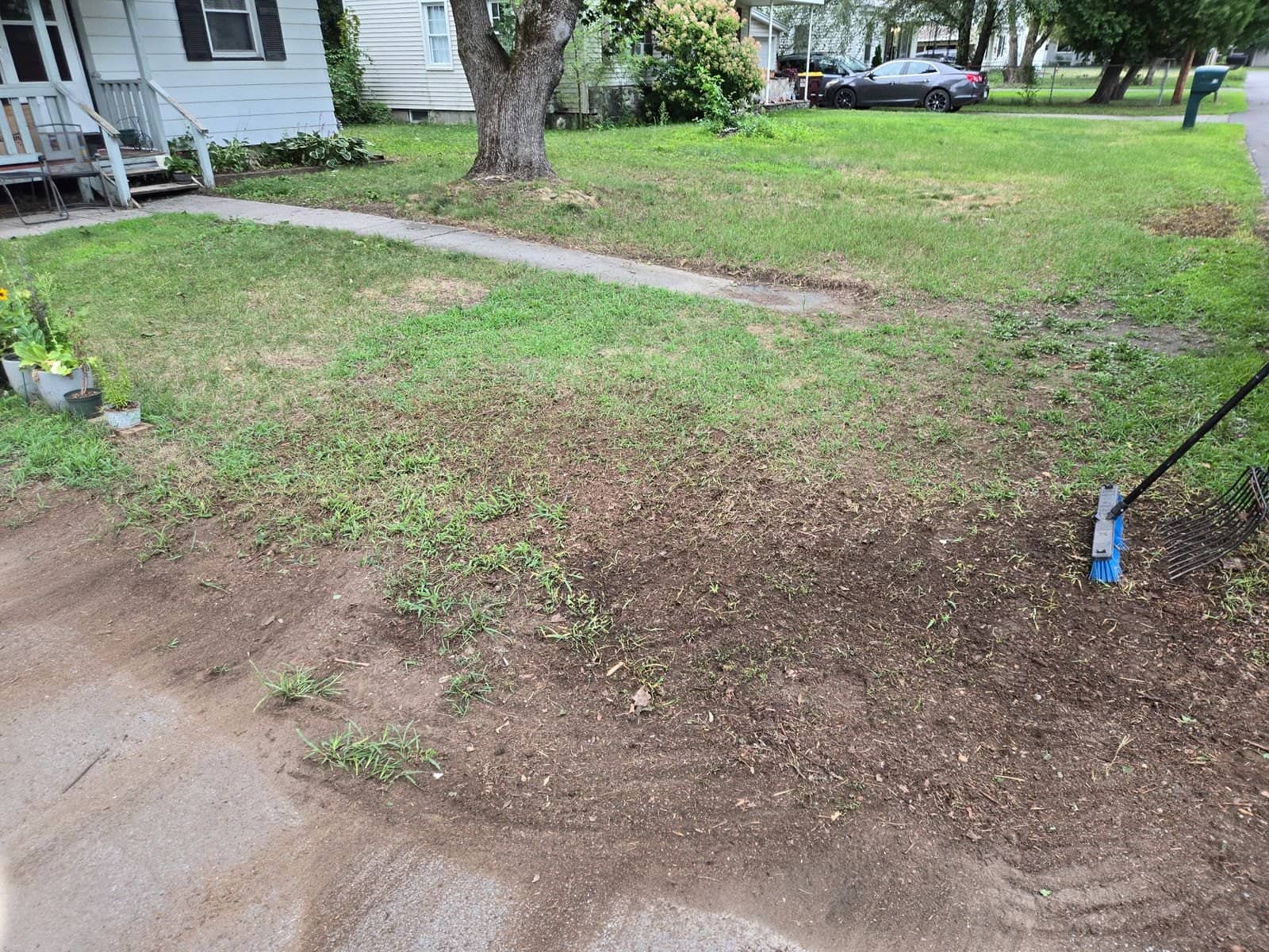 Same curbside lawn after the brush pile was removed, bare patch where the pile sat